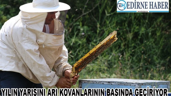 Kovanların peşinde göçebe hayatlar