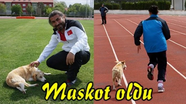 Maskot oldu