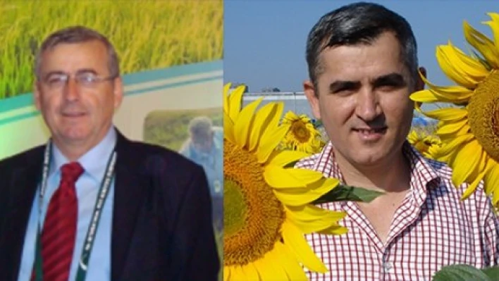 Verimliliğe devam