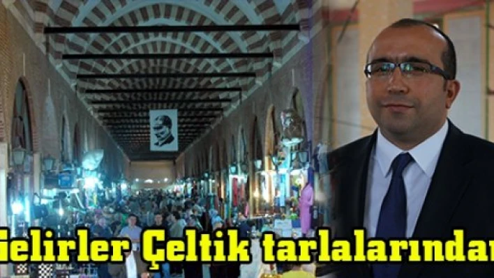 Gelirler Çeltik tarlalarından