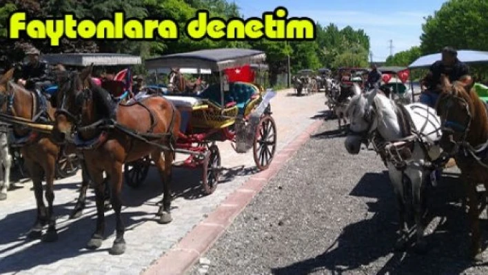 Faytonlara denetim