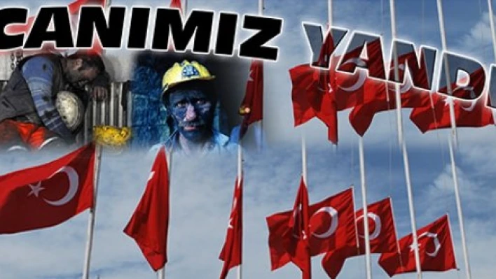 CANIMIZ YANDI
