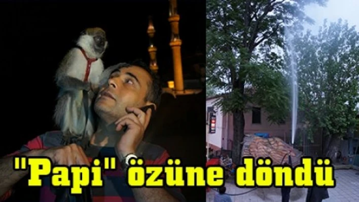 'Papi' özüne döndü