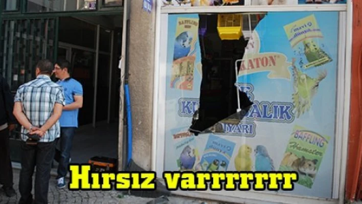 Hırsız varrrrrrr