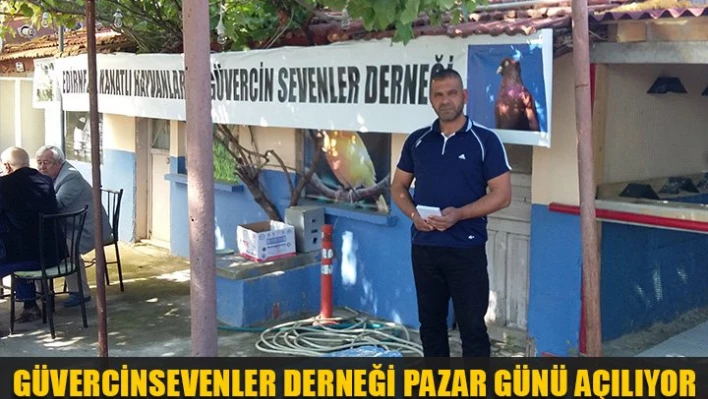 Güvercinsevenler Derneği açılıyor