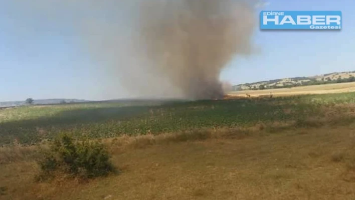 Buğday ekili alanda yangın
