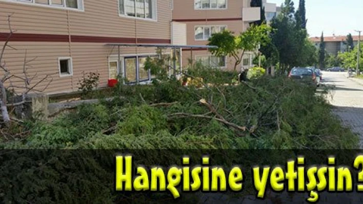 Belediye Uşağınız mı?