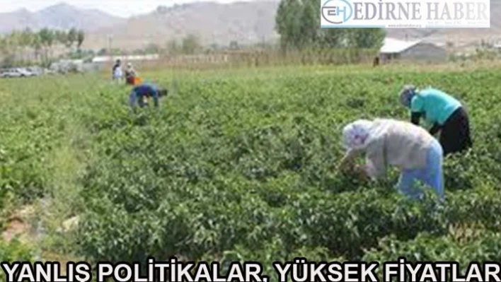 'Yanlış Politikalar, Yüksek Fiyatlar'