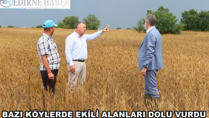 Bazı köylerde ekili alanları 'dolu' vurdu