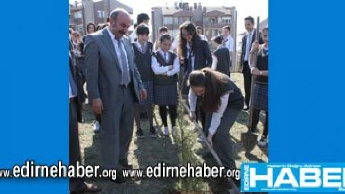 Taşçı Putin'e meydan okudu!