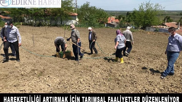 Hareketliliği artırmak için tarımsal faaliyetler düzenleniyor
