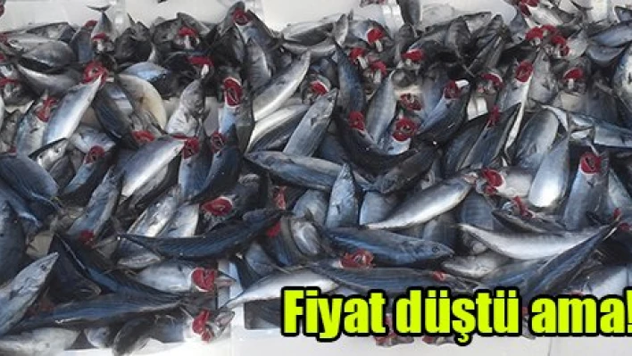 Fiyat düştü ama!