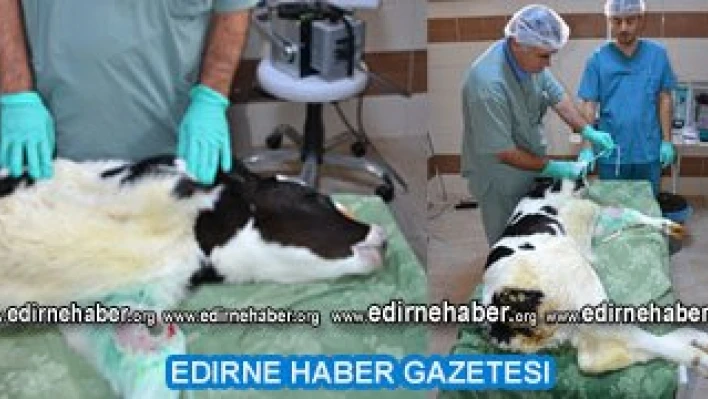 Ulaşım sorununda son nokta