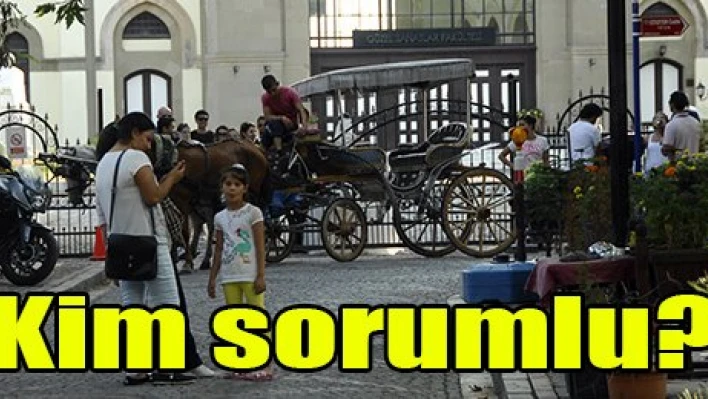 Kim sorumlu?