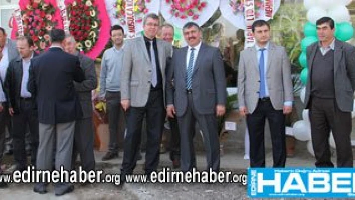 Yılın Ahisi Şed kuşandı