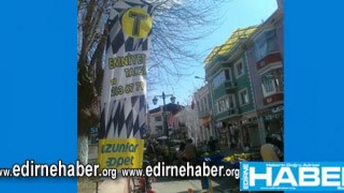 Şampiyon İnekler