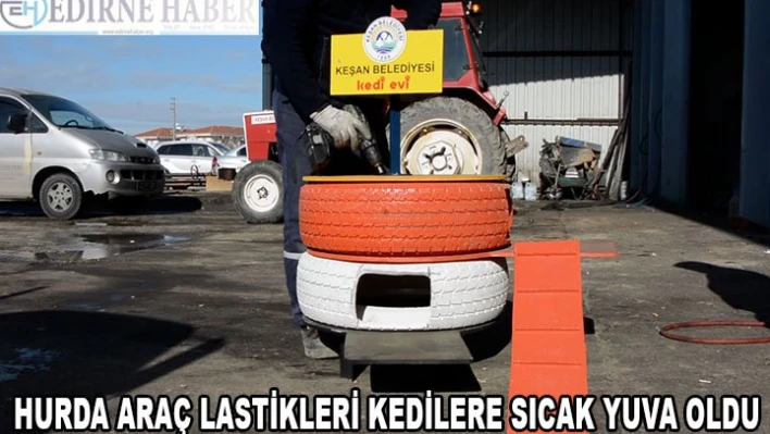 Keşan'da hurda araç lastikleri kedilere sıcak yuva oldu