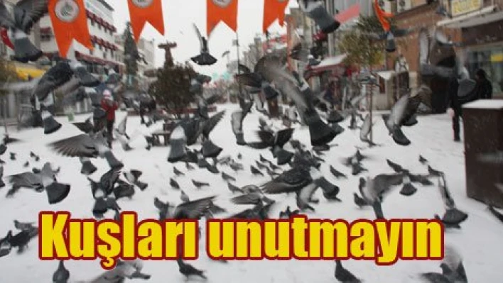 Her yerde Kar var