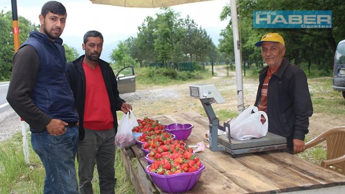 Mevsimin ilk çileği Demirköy'den