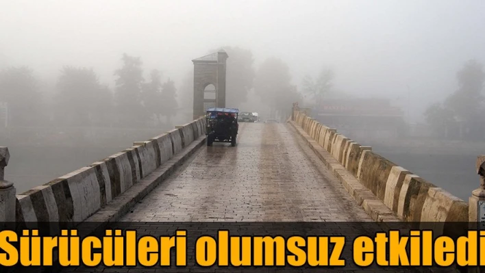 Sis etkili oldu