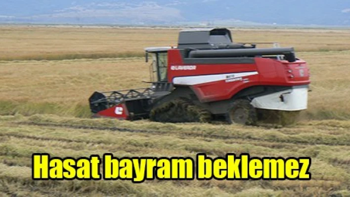Hasat bayram beklemez
