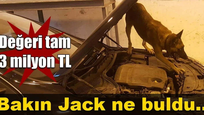 Radyatöre gizlemişler