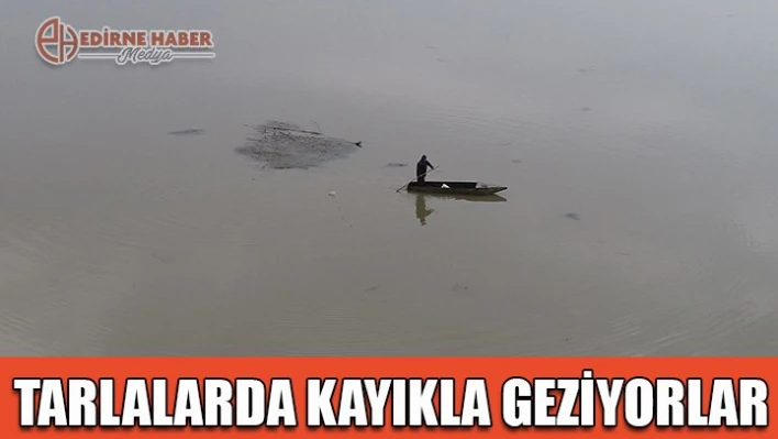 Tarlalarda kayıkla geziyorlar