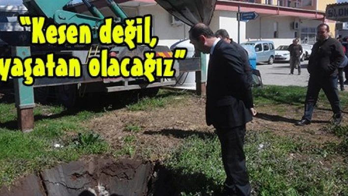 'Kesen değil,  yaşatan olacağız'