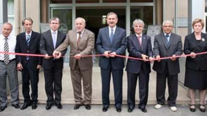 İnekler akım kurbanı