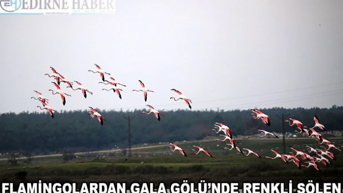 Gala Gölü'nde renkli şölen