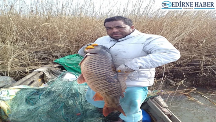 18 kilogramlık sazan balığı yakaladı