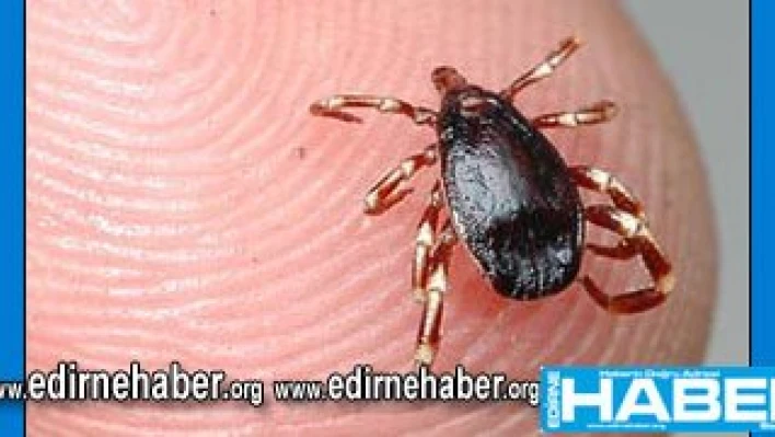 Kadın girişimciler toplantıya katıldı