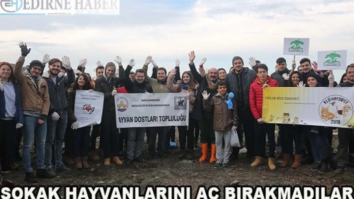 Hayvanseverler sokak hayvanlarını aç bırakmadı