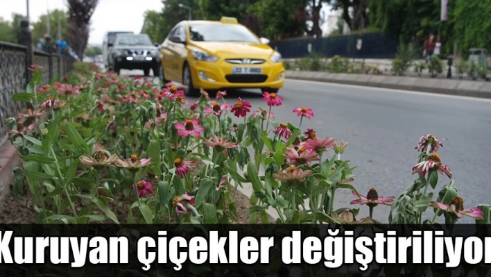 Çiçekler değiştirildi