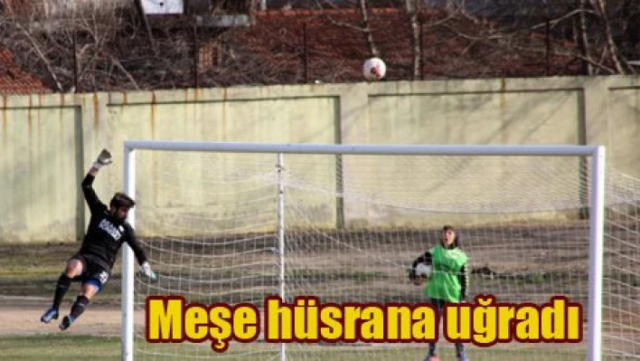 Meşe'ye Meşe dayağı