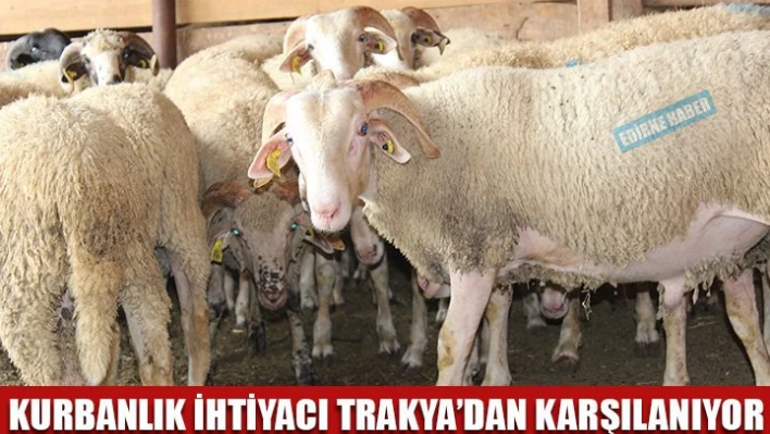 Hayvanımız bile kaliteli