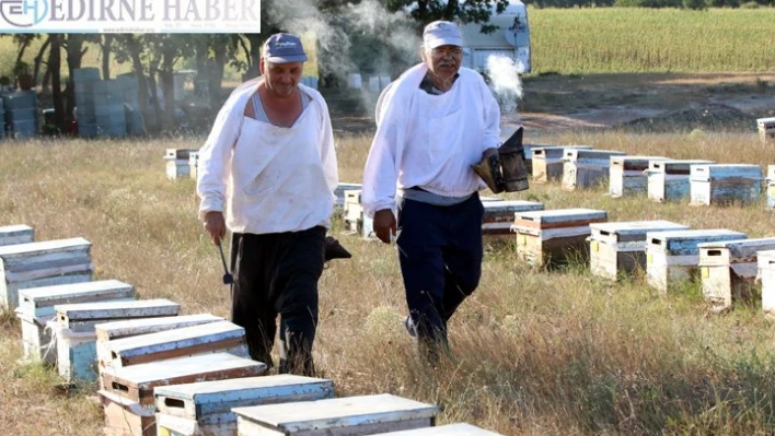 Gezgin arıcıların merada geçen buruk bayramı