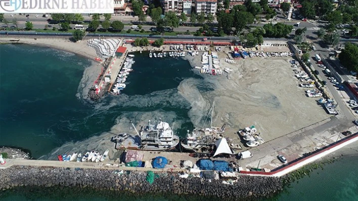 Tekirdağ'da lodos nedeniyle kıyılara müsilaj geri geldi