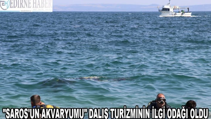'Saros'un akvaryumu' dalış turizminin ilgi odağı oldu