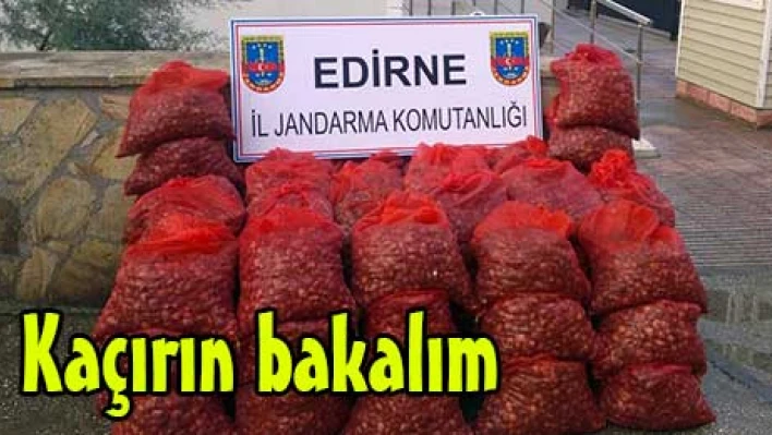 Kaçırın bakalım