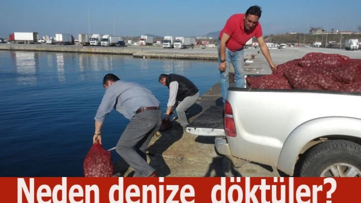 Kaçak Midyeler denize