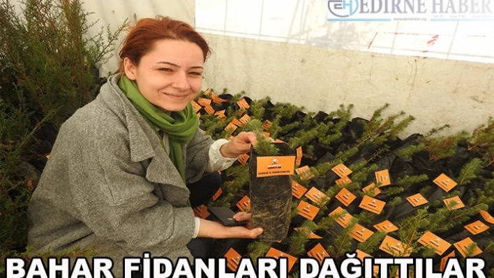 Bahar fidanları dağıttılar