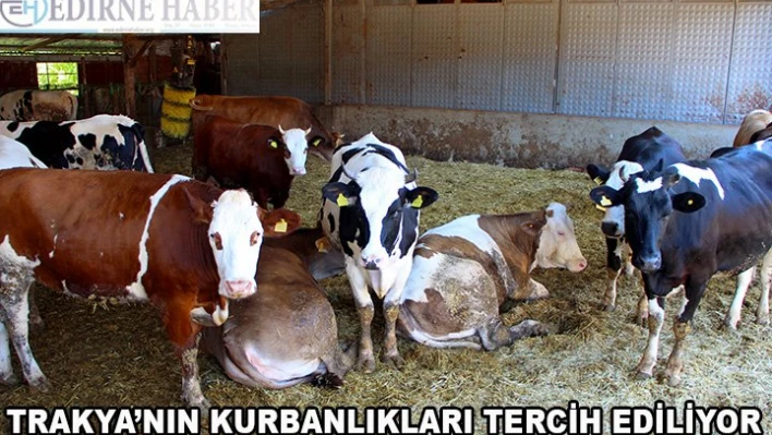 Trakya'nın 'kurbanlıkları' tercih ediliyor