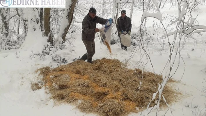 Kırklareli'nde yaban hayvanları için doğaya yem bırakıldı
