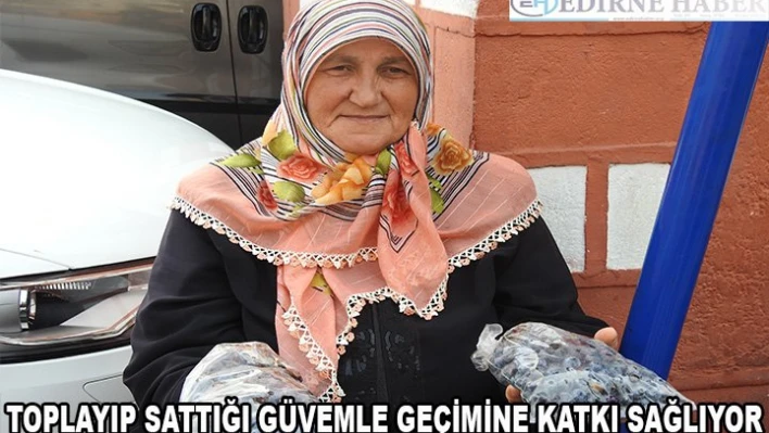 Toplayıp sattığı güvemle geçimine katkı sağlıyor