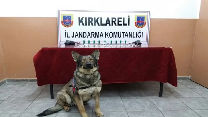 Operasyon düzenlendi