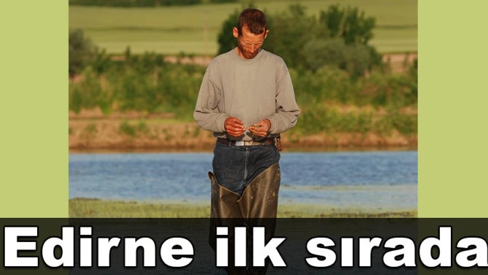 Edirne Çeltik ambarı