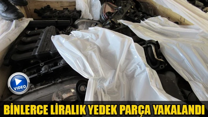 Sanki yedek parçacı
