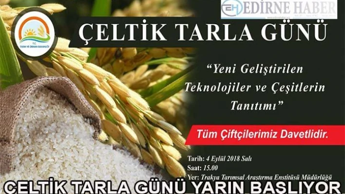 Çeltik Tarla Günü Yarın