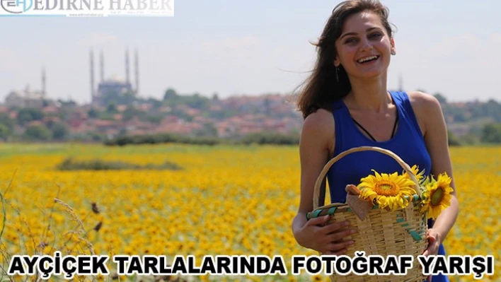 Ayçiçeği tarlalarında fotoğraf yarışı